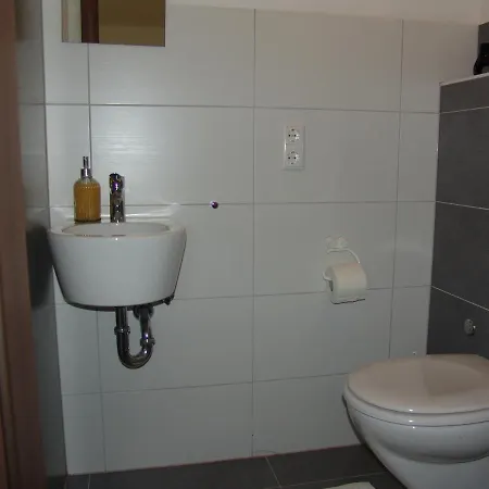 S&s Buss * فريدريشسهافن