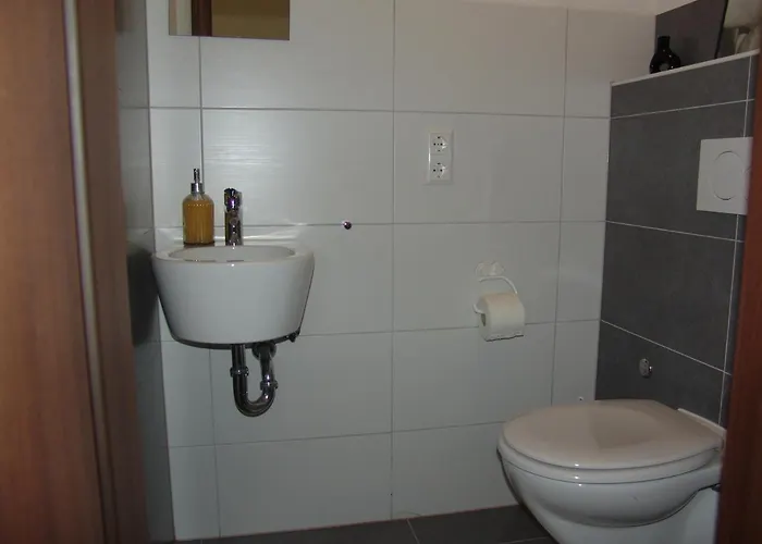 S&s Buss * 프리드리히스하펜